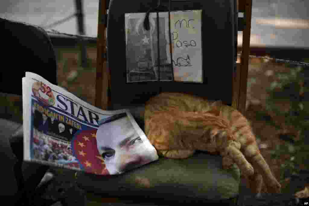 A cat sleeps next to a newspaper showing a photo of the Turkish Prime Minister Recep Tayyip Erdogan in central Istanbul, Turkey, Aug. 11, 2014.