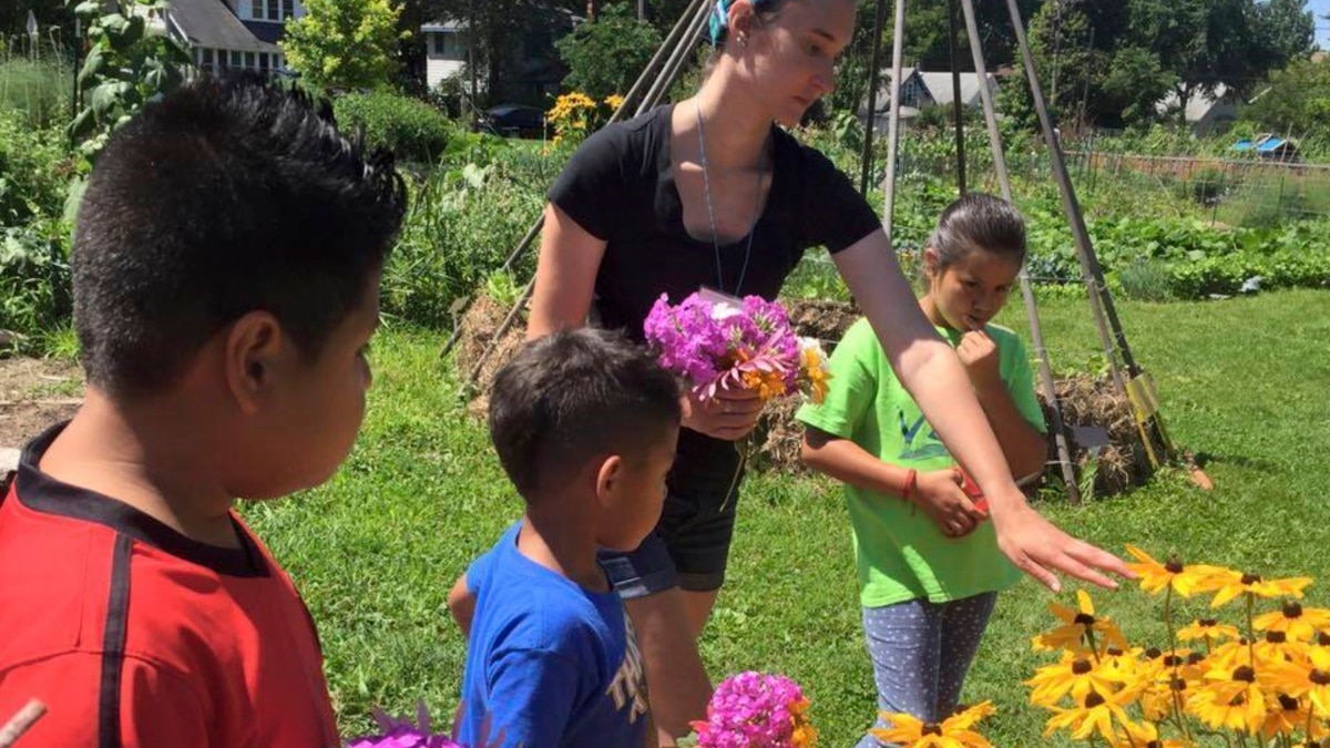 College Gardening Will become Additional Preferred in US