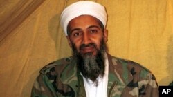 El texto señala que Osama Bin Laden habría recibido un disparo en la cabeza mientras miraba hacia afuera de su dormitorio.