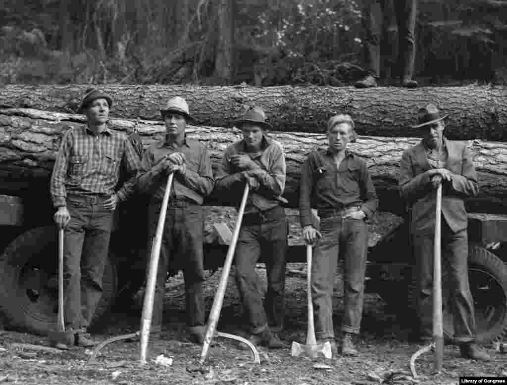 پنج کارگر کارخانه چوب بری &laquo;اُلا&raquo; در آیداهو، 1939