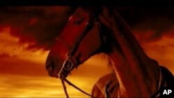 Five-time Oscar winner John Williams composed the music for "War Horse," one of the five nominees for best score.