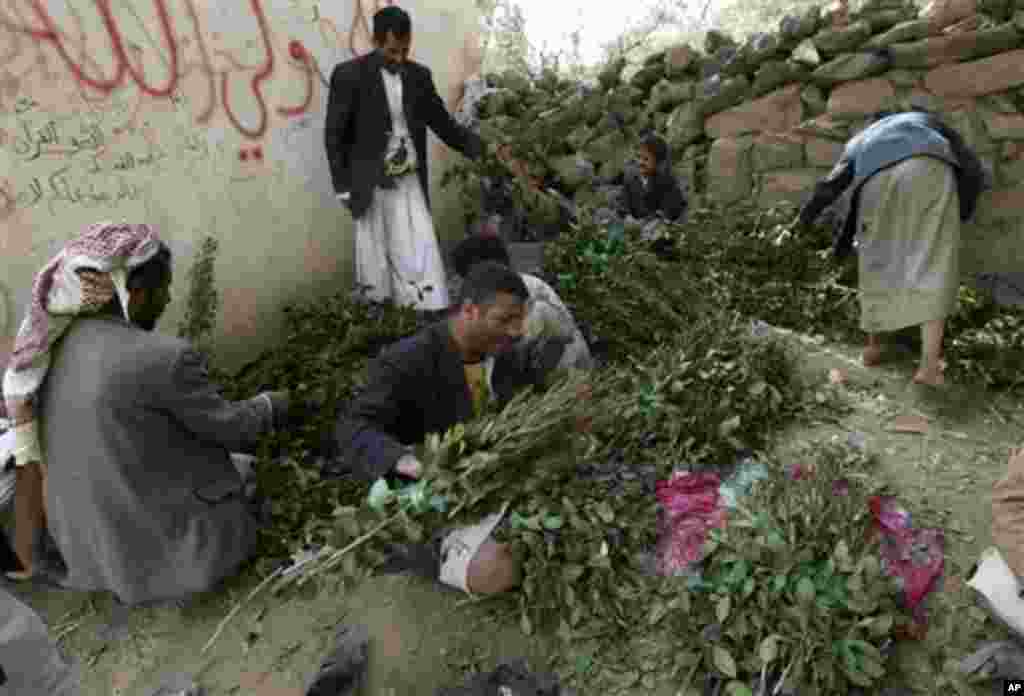 Vendors prepare qat for customers at a qat market, in the Yemeni capital San'a, Friday, Sept. 19, 2008. Qat, which is popular with many Yemeni adults, is a leaf that gives a mild narcotic high when chewed. (AP Photo/Nasser Nasser)