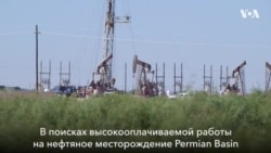 Преступления на почве нефти
