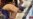 What Are Those Strange Spots on Olympic Athletes?