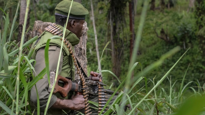 Cinq civils tués dans une attaque près de la frontière RDC-Ouganda