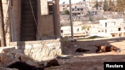 Animal carcasses lie on the ground, killed by what residents said was a chemical weapon attack days earlier,Khan al-Assal Syria, March 23, 2013.