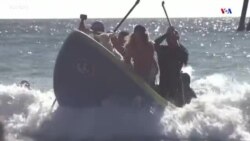 "The Goatfather" մականունով կալիֆոռնիացին սերֆինգով է զբաղվում իր այծի հետ