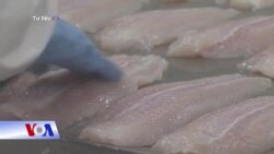 Giáo sư Mỹ cảnh báo hải sản Việt Nam có thể nhiễm độc từ vụ Formosa