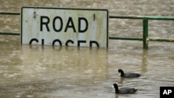 A pair of ducks make their way along a flooded road in Monte Rio, California, Jan. 10, 2017.