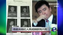 VOA连线：传前央视红人芮成钢获刑六年