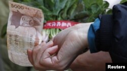 South Korean housewife buys vegetables at a market in Seoul February 1, 2011. 