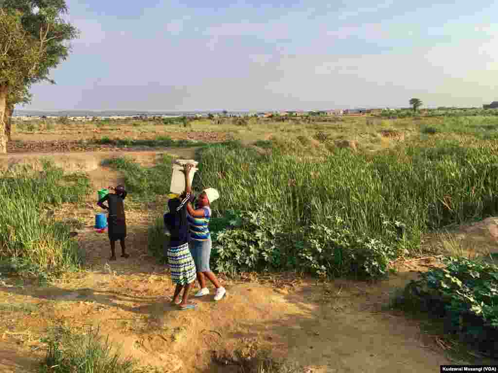 Bulawayo Water Crisis