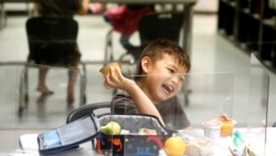 Quiz - Fun Lunches Help School Kids Eat Healthy Foods