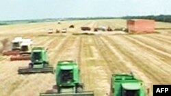 ФАО: наступного року значно зросте ціна на продовольство