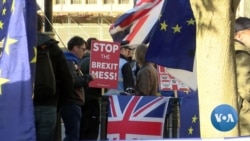 EU Nationals in Britain Fear Brexit Future
