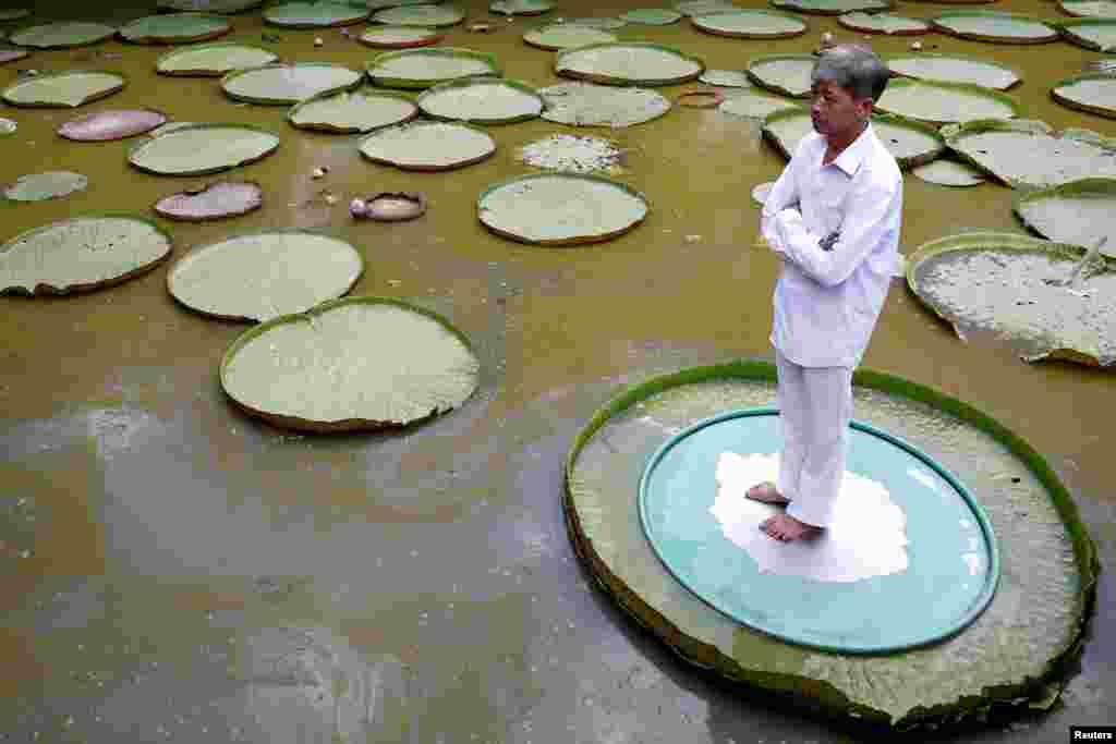 A man poses for a photo on a large lotus leaf in Dong Thap province, Vietnam.