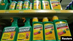 Monsanto's Roundup weedkiller atomizers are displayed for sale at a garden shop near Brussels, Nov. 27, 2017. 