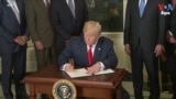 Thumbnail-TVPKG-T24 1124 Trump Tariff React