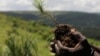 Refugees Once Cut Down Trees in Uganda, Now They Work to Plant Them
