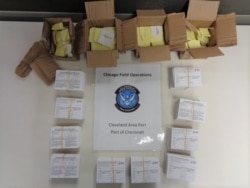Photo of bogus vaccination cards provided by U.S. Customs and Border Patrol in Cincinnati, Ohio.