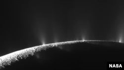 Numerous plumes are seen rising from long tiger-stripe canyons across Enceladus' craggy surface. Continued study of the ice plumes may yield further clues as to whether underground oceans, candidates for containing life, exist on this distant ice world.