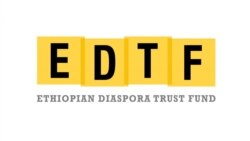 300 ፐሮጀክቶች 22 ለቀጣዩ ዙር መርጠን አሳለፈናል-የኢትዮጵያ ዳያስፖራ ትረስት ፈንድ