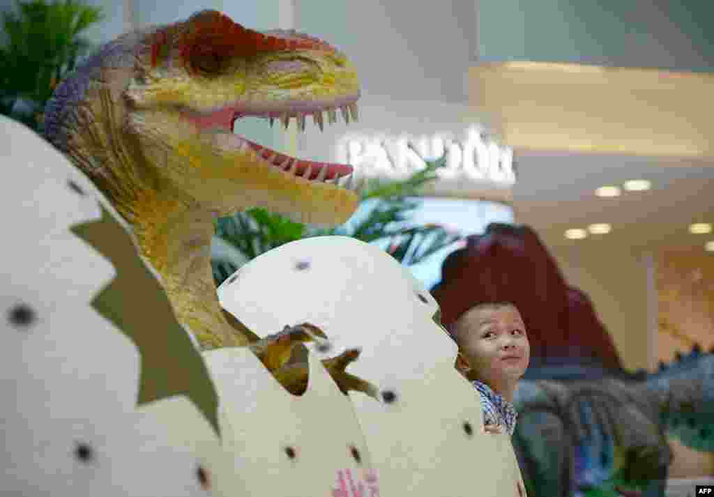 A Chinese boy looks at a dinosaur model as he poses for a photo in a Beijing mall.