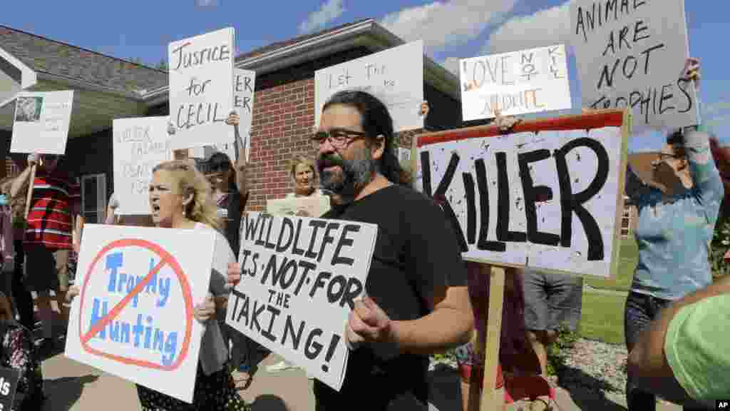 Des manifestants se rassemblent devant le cabinet dentaire du Dr Walter James Palmer à Bloomington, Minnestota., 29 juillet 2015.