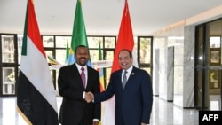  Le président égyptien Abdel Fattah El-Sisi (R) serrant la main du premier ministre éthiopien Abiy Ahmed lors du sommet trilatéral entre l'Éthiopie, l'Égypte et le Soudan, le 10 février 2019.