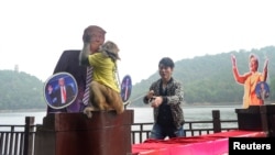 Un singe porte un tee-shirt "le roi de la prédiction" et embrasse la photo de Donald Trump, à Changsha, Chine, le 3 novembre 2016.