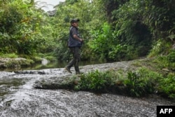 Indigenous biology  interpreter Alvaro Pai Pai walks astatine  the El Gran Sabalo Indigenous Reservation adjacent   El Diviso, Narino department, Colombia, connected  Aug. 31, 2024.