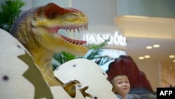 
Un garçon chinois devant un modèle de dinosaure avant sa prise de poser photo à Beijing, le 6 Août 2014.
