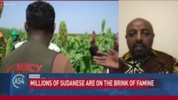 Analysis: Sudan unable to utilize key farming region due to ongoing war