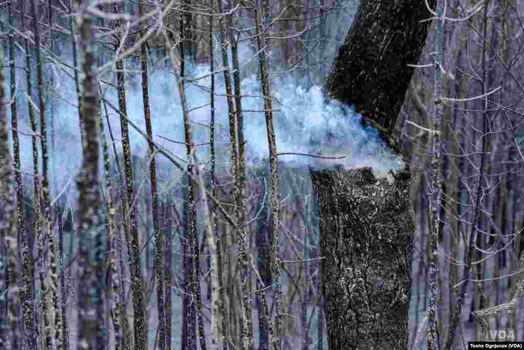 Пожари Малешевија / Wildfires in North Macedonia