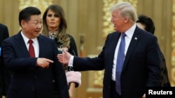 Tổng thống Mỹ Donald Trump và Chủ tịch Trung quốc Tập Cận Bình đến dự quốc yến tại Đại sảnh Nhân dân Bắc Kinh, ngày 9/11/2017.