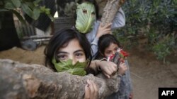 Anak-anak Palestina membuat masker dan topeng dari kobis saat harus berada di rumah mereka di tengah pandemi corona di Beit Lahia, jalur Gaza, 16 April 2020, 