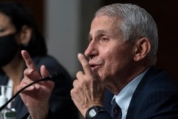 Dr. Anthony Fauci, kanan, Direktur Institut Nasional Alergi dan Penyakit Menular, berbicara dalam sidang Komite Kesehatan, Pendidikan, Perburuhan, dan Pensiun Senat di Capitol Hill, 4 November 2021, di Washington. (Foto: AP)