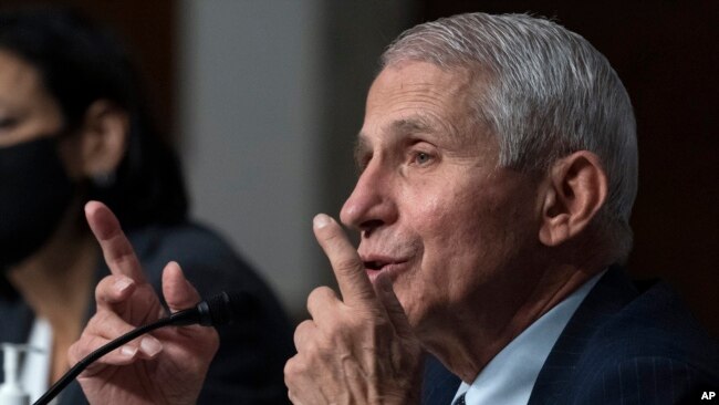 FILE - Dr. Anthony Fauci, right, director of the National Institute of Allergy and Infectious Diseases, speaks during a Senate Health, Education, Labor, and Pensions Committee hearing on Capitol Hill, Nov. 4, 2021, in Washington.