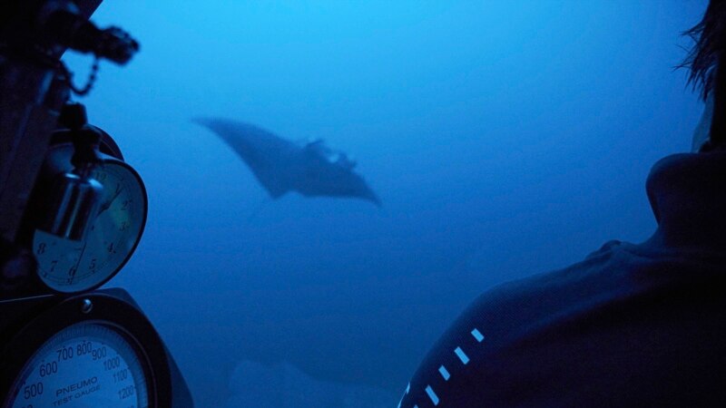 If You Are Feeling Blue, Are You Calm, Strong, or Sad?