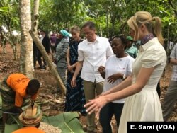 Ivanka Trump sampled a bit of raw cocoa fruit before speaking to the women of the cooperative in Ivory Coast, April 17, 2019.