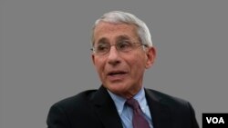 El Dr. Anthony Fauci, director del Instituto Nacional de Alergias y Enfermedades Infecciosas testifica en forma remota ante un panel del Senado de EE.UU.