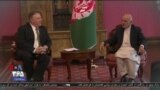 اخبار شامگاهی