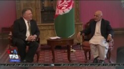 اخبار شامگاهی