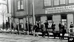 This mining school, complete with sled dogs, was set up in Seattle as a training site for potential Klondike prospectors.