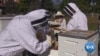 Beekeeping Helps Veterans Cope With Stress, Anxiety