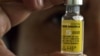 Unita insta Governo a reforçar combate à febre amarela