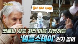 [보아가 간다] 코로나 시국 지친 마음 치유하는 ‘템플스테이’ 인기 몰이