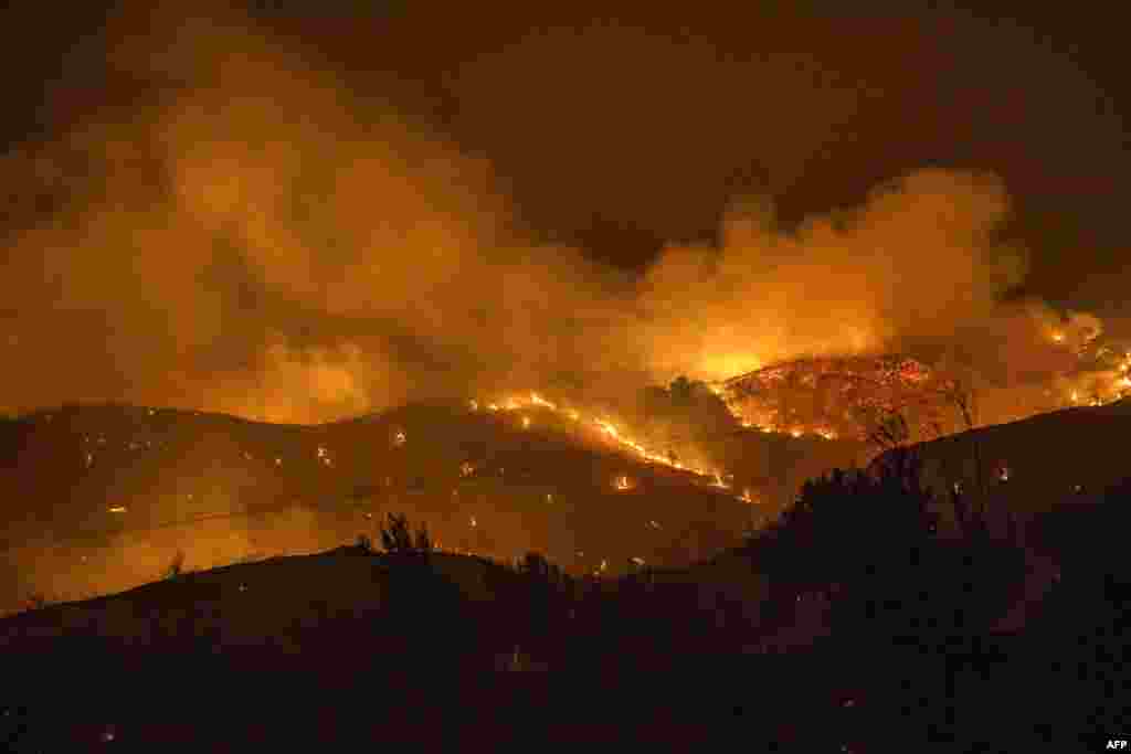 Trees burn in a forest on the slopes of the Throodos mountain chain as a giant fire rages on the Mediterranean island of Cyprus, July 3, 2021.