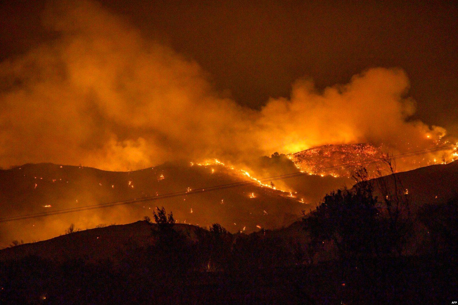 Trees burn in a forest on the slopes of the Throodos mountain chain as a giant fire rages on the Mediterranean island of Cyprus, July 3, 2021.