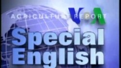 Special English 1430